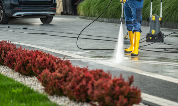 Best Soft Washing for Delicate Surfaces in Makakilo, HI